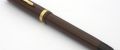 Waterman_Champion_17.jpg
