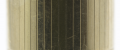 Parker_17#22.png
