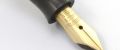 Gazell_Warranted#52.jpg