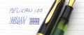 Pelikan120#11.jpg