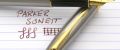Parker-Sonett-Stainless-Steel-GT#12.jpg