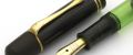 Pelikan_100N#11.jpg